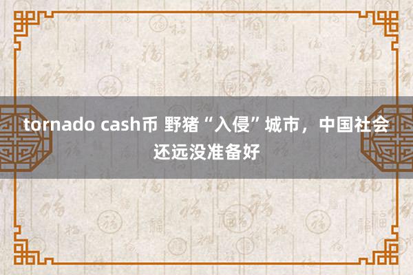 tornado cash币 野猪“入侵”城市，中国社会还远没准备好