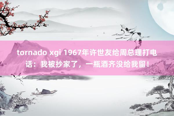 tornado xgi 1967年许世友给周总理打电话：我被抄家了，一瓶酒齐没给我留！