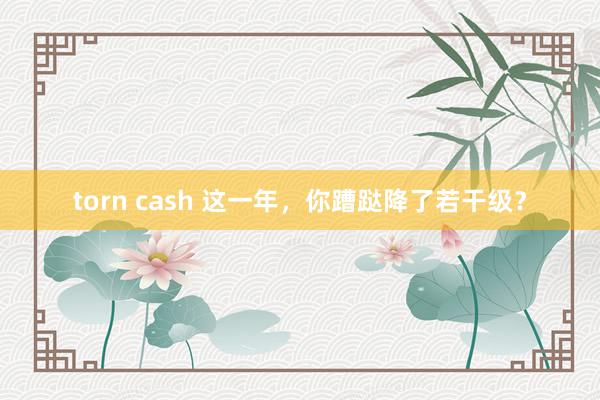 torn cash 这一年，你蹧跶降了若干级？